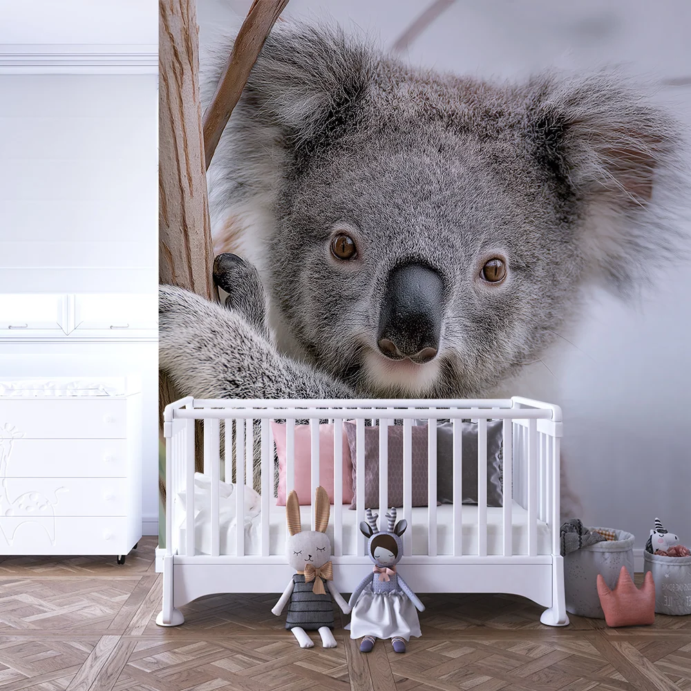 Dětská tapeta | Rozkošný koala na eukalyptovém stromě