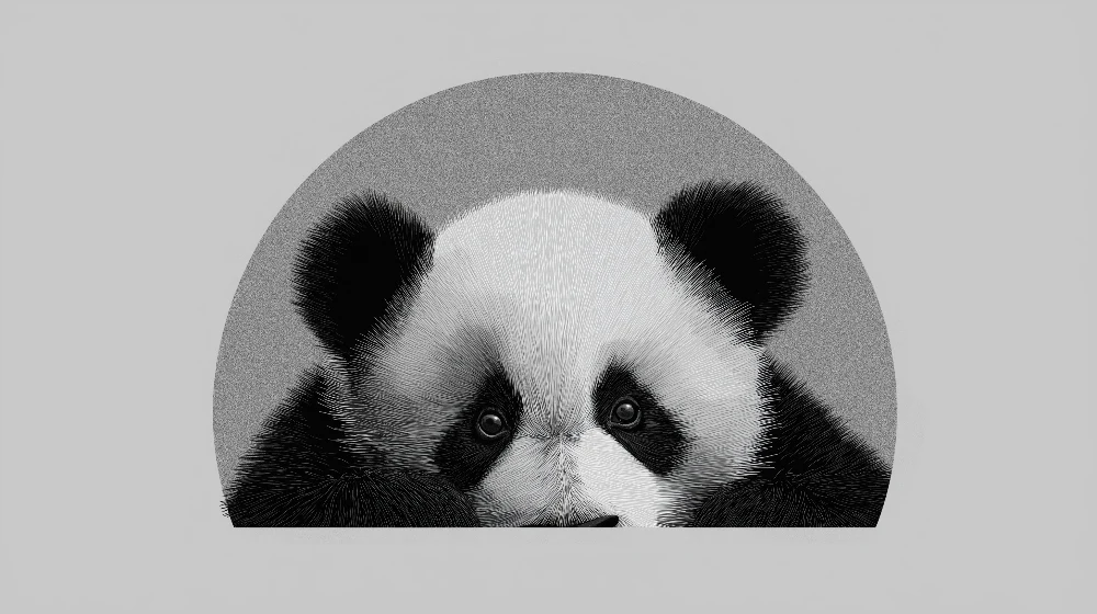 Dětské tapety | Roztomilá panda se zvědavým pohledem