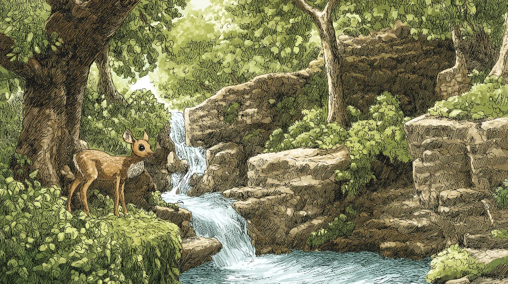 Kinderzimmer Tapete | Fauna flóra u vodopádu