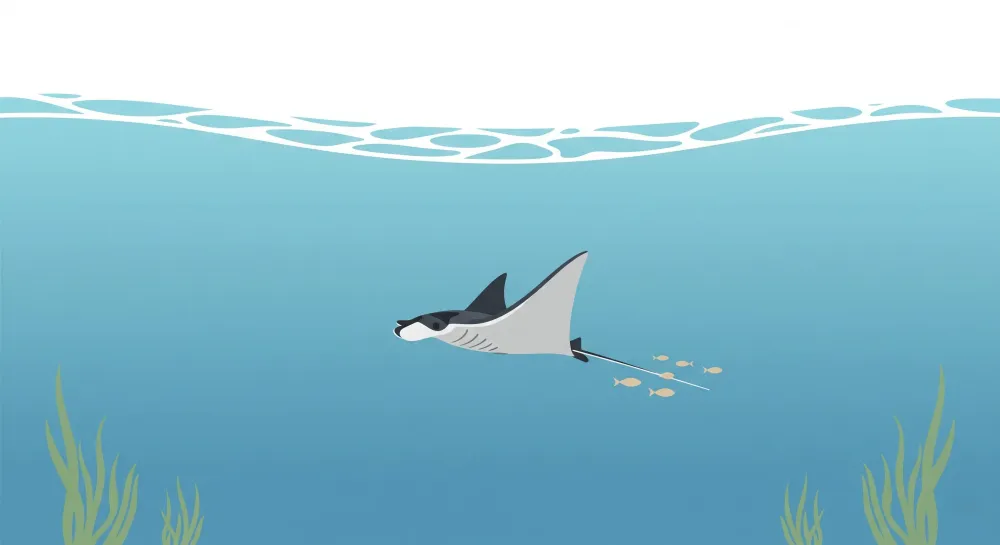 Kinderzimmer Tapete | Mantarochen und Unterwasserabenteuer