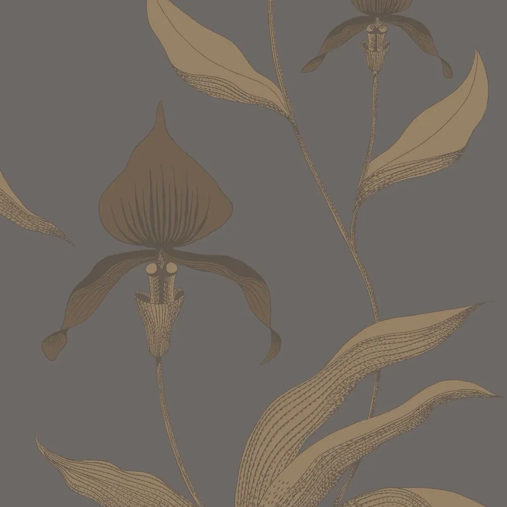 Tapeta s motivem rostlin květin orchidejí SOUČASNÁ KOLEKCE - ORCHIDEA hnědá s tmavě šedou