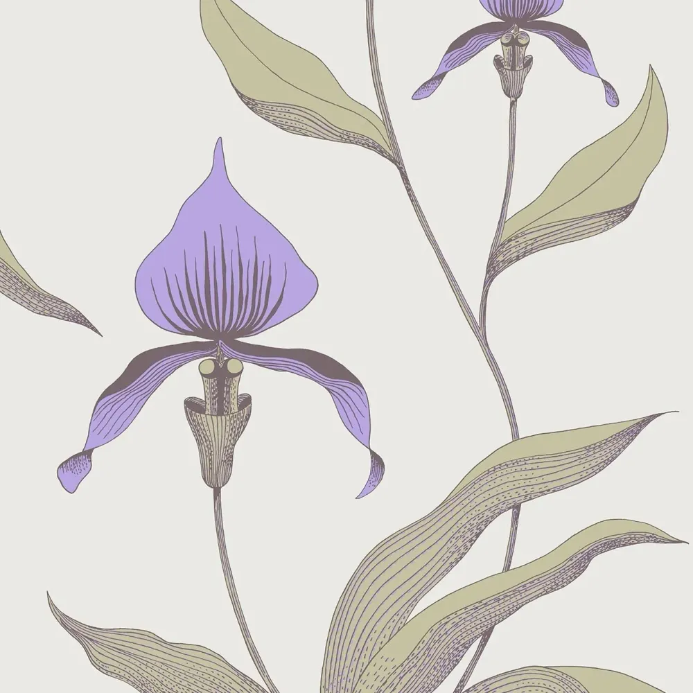 Tapeta s motivem rostlin květin orchidejí SOUČASNÁ KOLEKCE - ORCHIDEJ olivová s fialovou