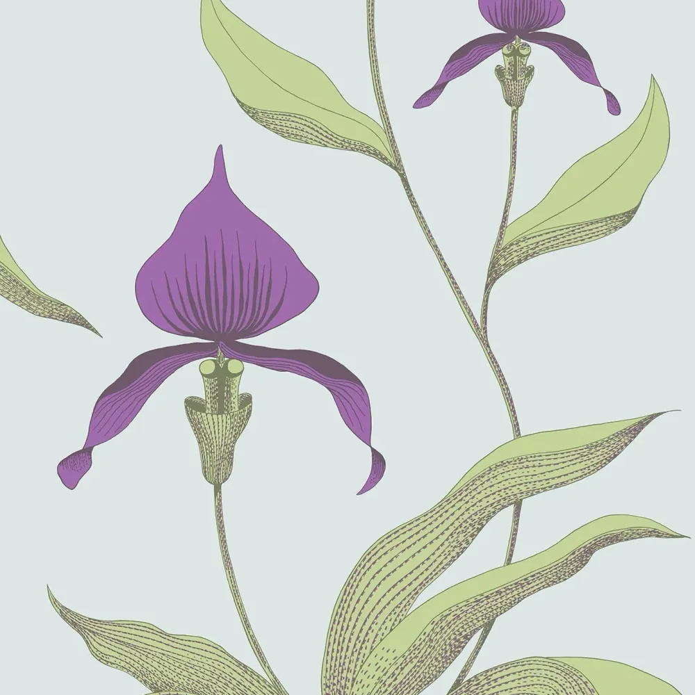 Tapeta s motivem rostlin květin orchidejí SOUČASNÁ KOLEKCE - ORCHIDEJ fialová se zelenou