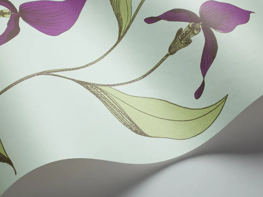 Tapeta s motivem rostlin květin orchidejí SOUČASNÁ KOLEKCE - ORCHIDEJ fialová se zelenou