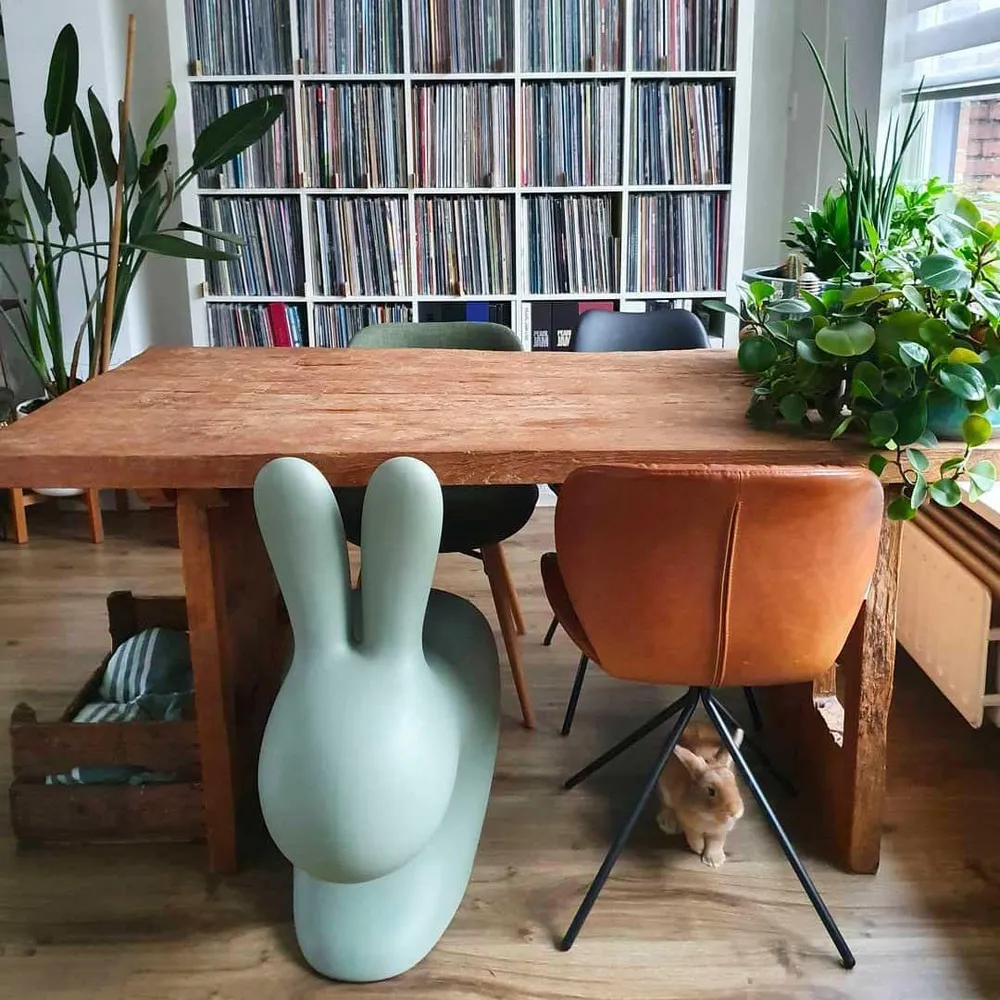 Židle RABBIT červená