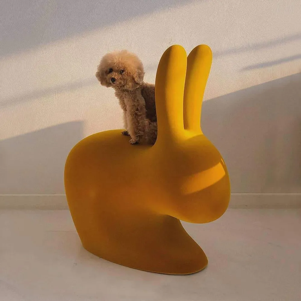 Židle RABBIT VELVET hořčicová