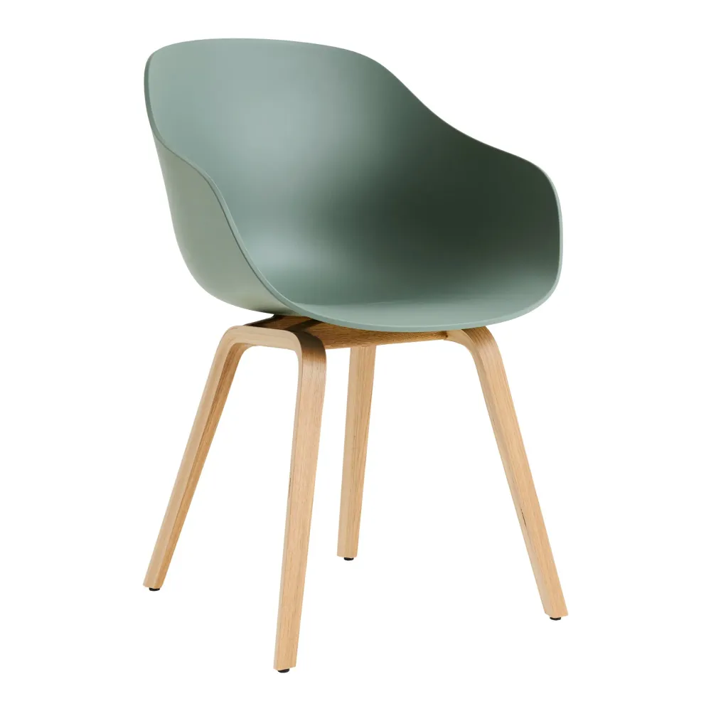 Jídelní židle AAC 222, Oak / Fall green